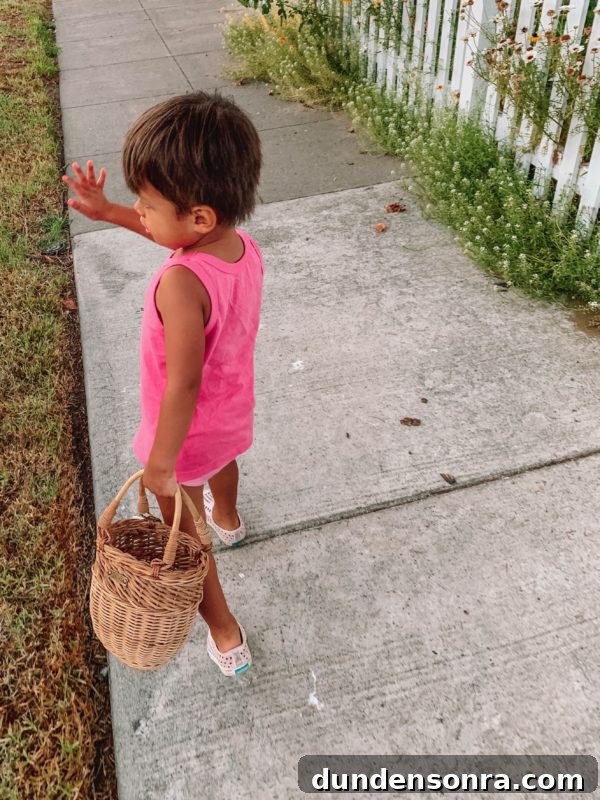 5 Fun Free Toddler Activities You Can Do at Home Today 2 Free Toddler Activities To Do At Home: Nature Walk