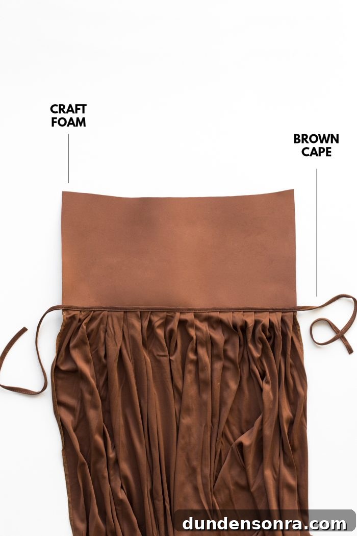 DIY Count Chocula Costume