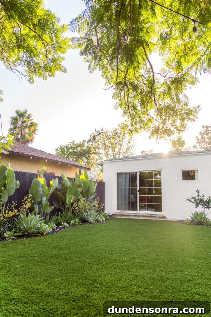 A backyard with plants