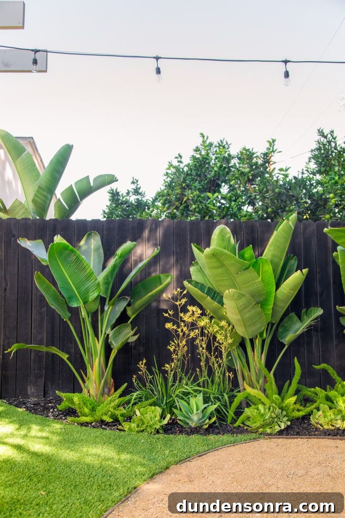 A green plant in a garden