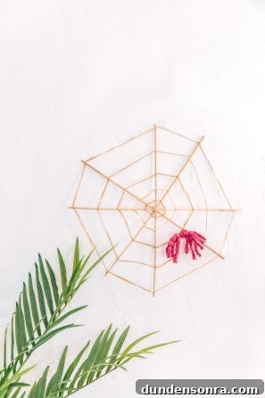 A spider web