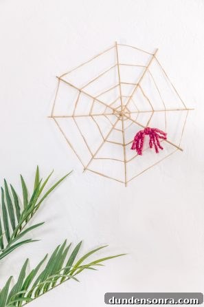 Spider web