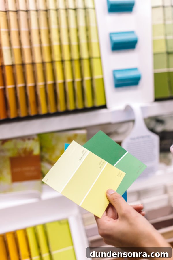 Someone holding paint samples