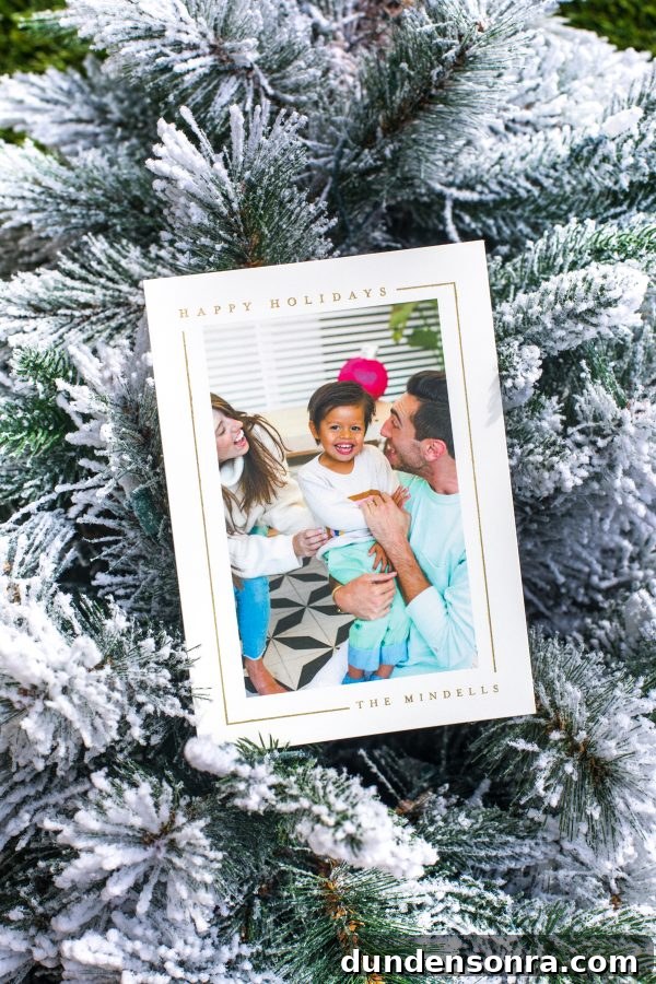 Family Christmas Card Photo Ideas for Memorable Holiday Cards 2 A picture in a frame