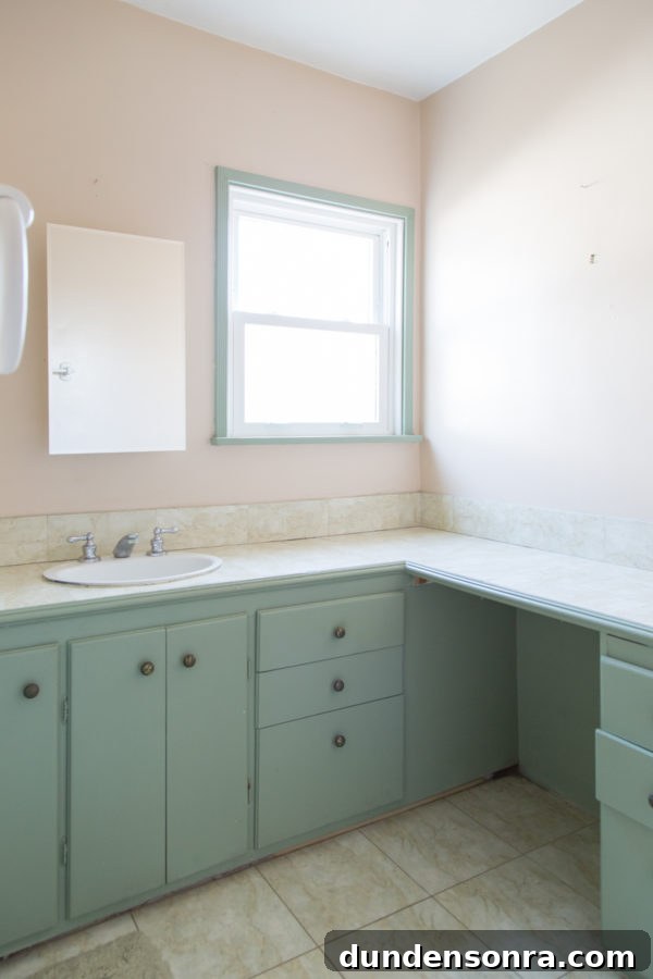 kids bathroom renovation before