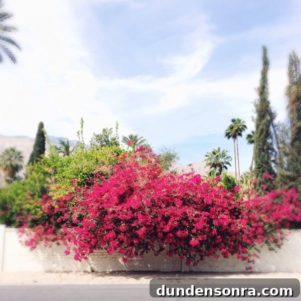 Designing My Dream Forever Home: Ideas for Lasting Comfort and Style 4 A tree with pink flowers