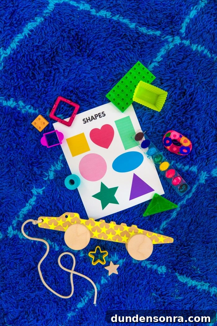 Shape Hunt Activity for Toddlers