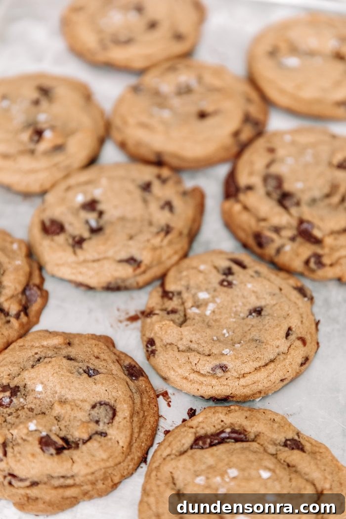 Ultimate Chocolate Chip Cookie Recipe: Crispy Edges, Chewy Center 5 Best Ever Chocolate Chip Cookies