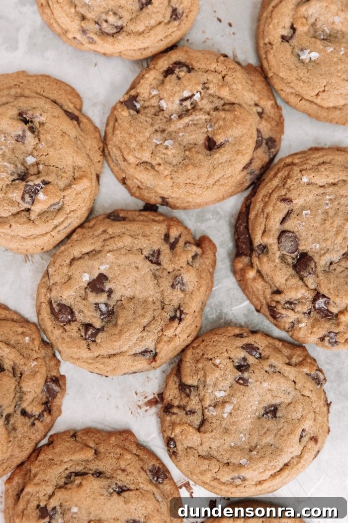 Family-Favorite Dessert Recipes: Tried-and-Loved Sweets for Every Occasion 3 Best Ever Chocolate Chip Cookies