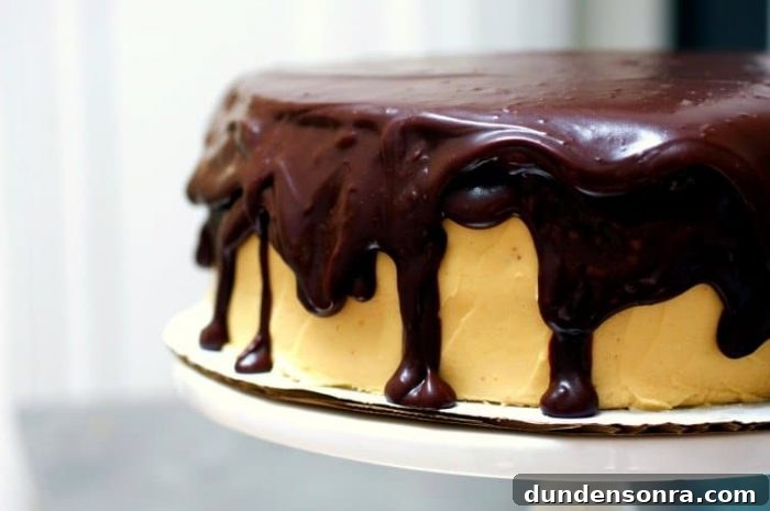 Family-Favorite Dessert Recipes: Tried-and-Loved Sweets for Every Occasion 7 Chocolate Peanut Butter Cake