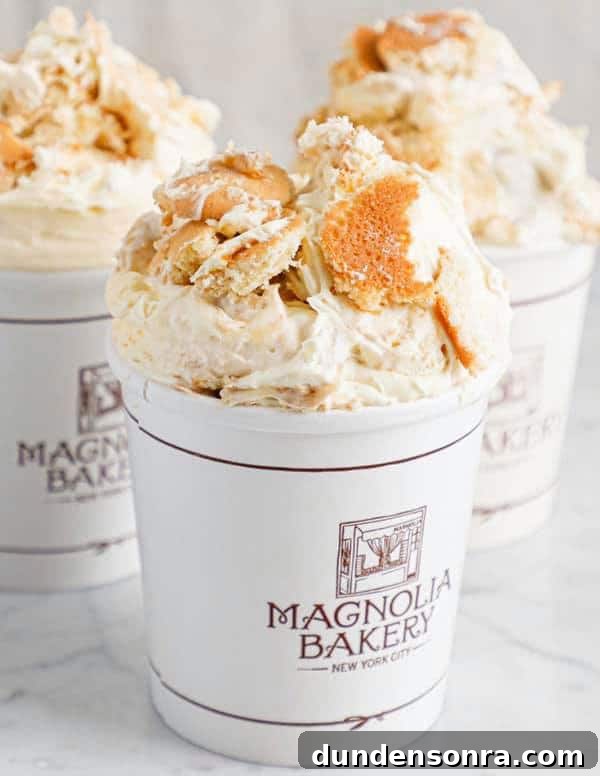 Magnolia Bakery Banana Pudding for Shipping and Delivery