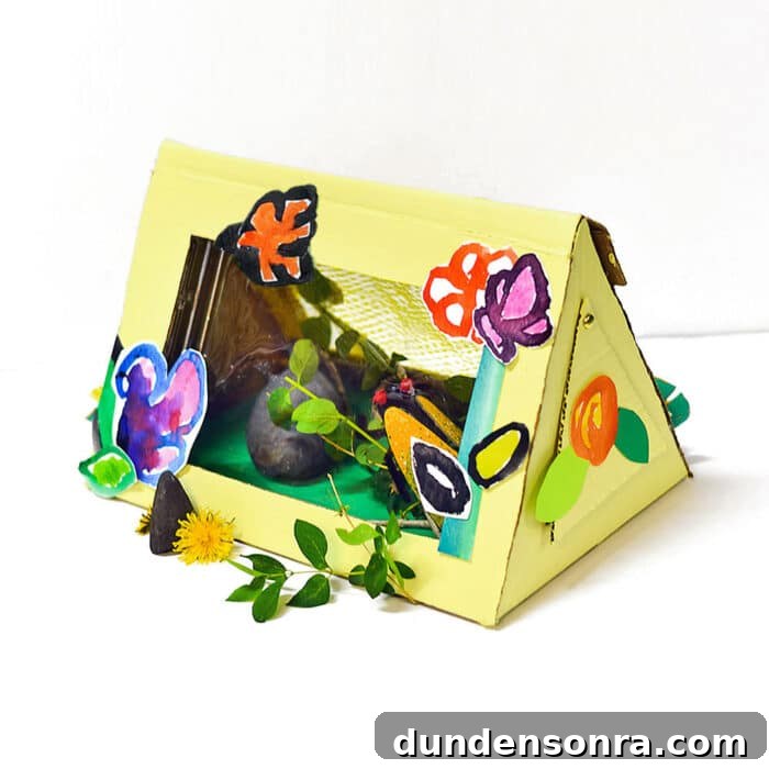 24 Fun Bug Crafts and Activities for Kids to Try Today 19 Bug Observation box for kids