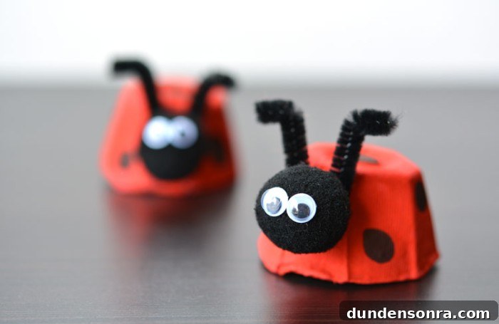 24 Fun Bug Crafts and Activities for Kids to Try Today 7 egg carton ladybug craft