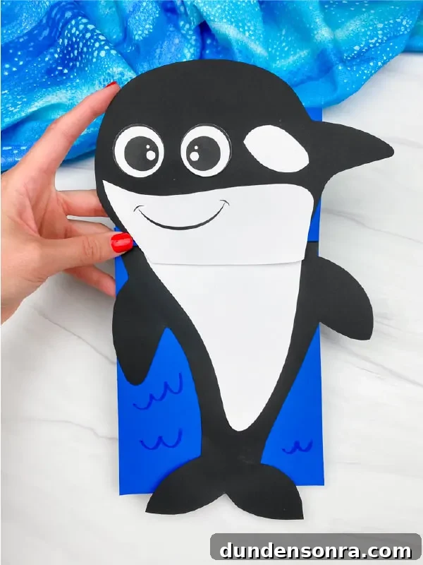 Killer Whale Under The Sea Craft