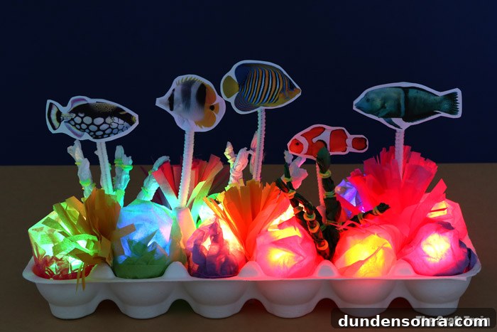 Light up reef craft.