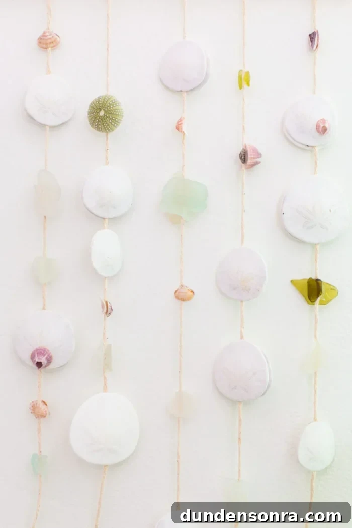 Seashell Wall Hanging Craft