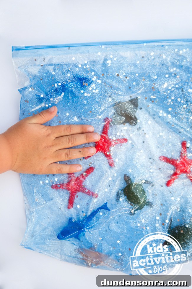 Ocean Sensory Bag