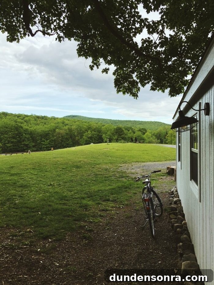 A bicycle parked in front of a house
