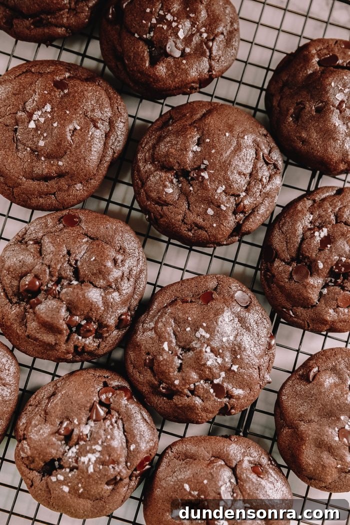 Chocolate chip cookies