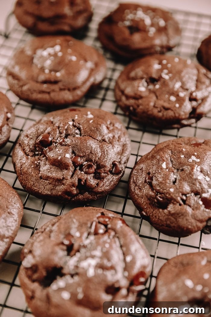Chocolate chip cookies