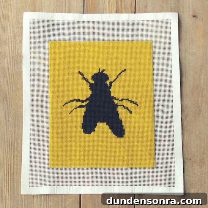 Modern Needle Point kit; example includes insect on yellow background