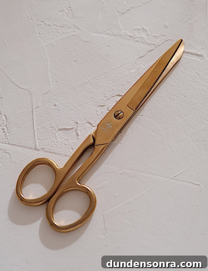 Gold plated scissors