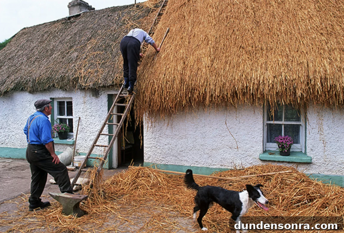 Homes I’d Love to Live In: Volume 2 15 A dog with hay on the roof of a building
