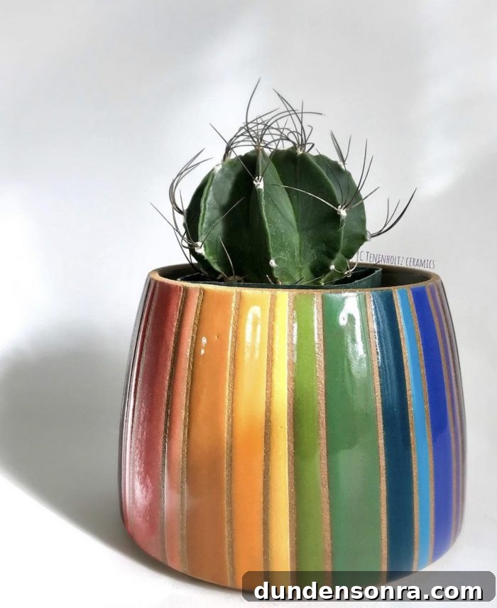 Artists I Love: Volume 3 — New Discoveries & Featured Picks 4 Rainbow Ceramic Planter Designed by Christine Tenenholtz