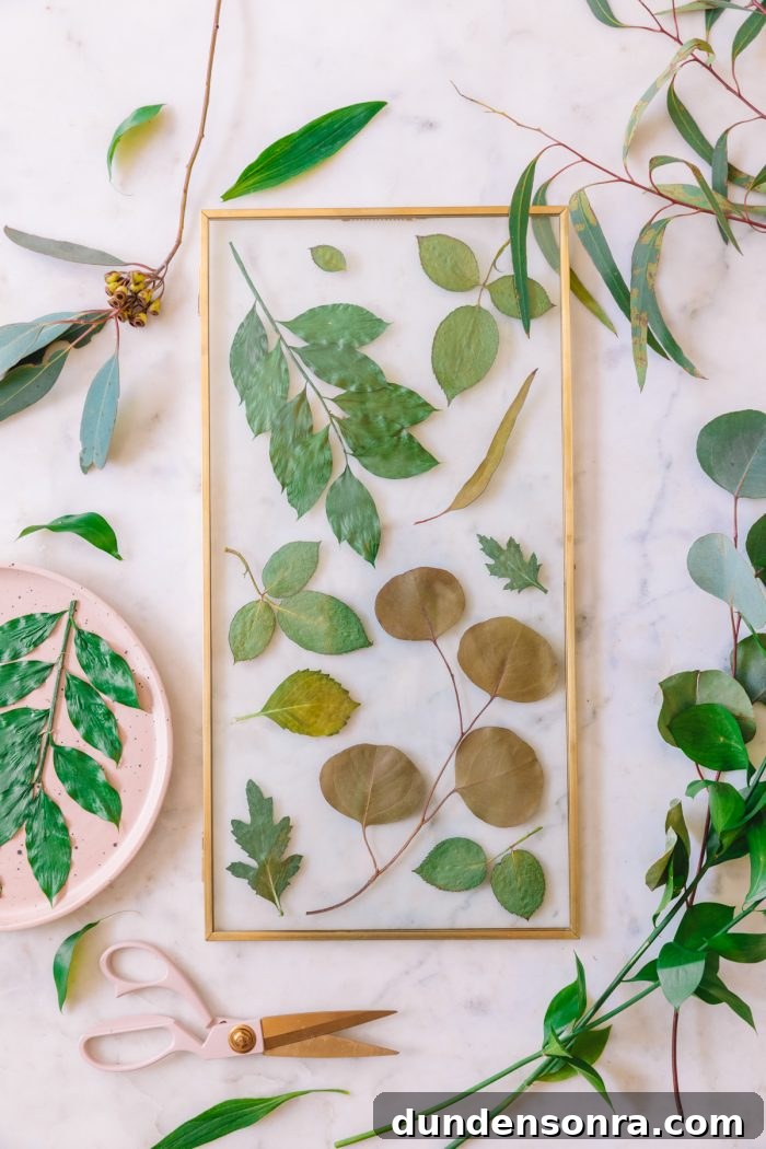 Quick Method to Press Flowers in Under 2 Minutes + DIY Keepsake Frames 4 Green Botanical Pressed Flower Frame