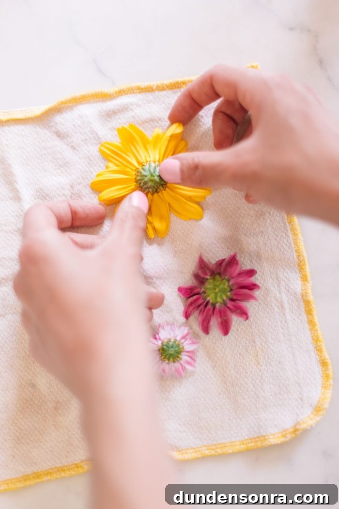 Quick Method to Press Flowers in Under 2 Minutes + DIY Keepsake Frames 8 Placing Flowers on Cloth To Microwave