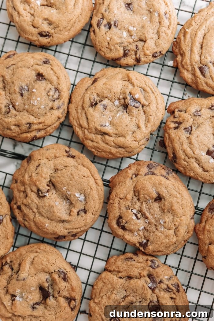 Best Ever Chocolate Chip Cookies