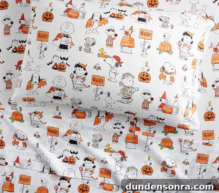 Top Halloween Home Decor Ideas to Transform Your Space 18 Snoopy and Friends Halloween Sheets