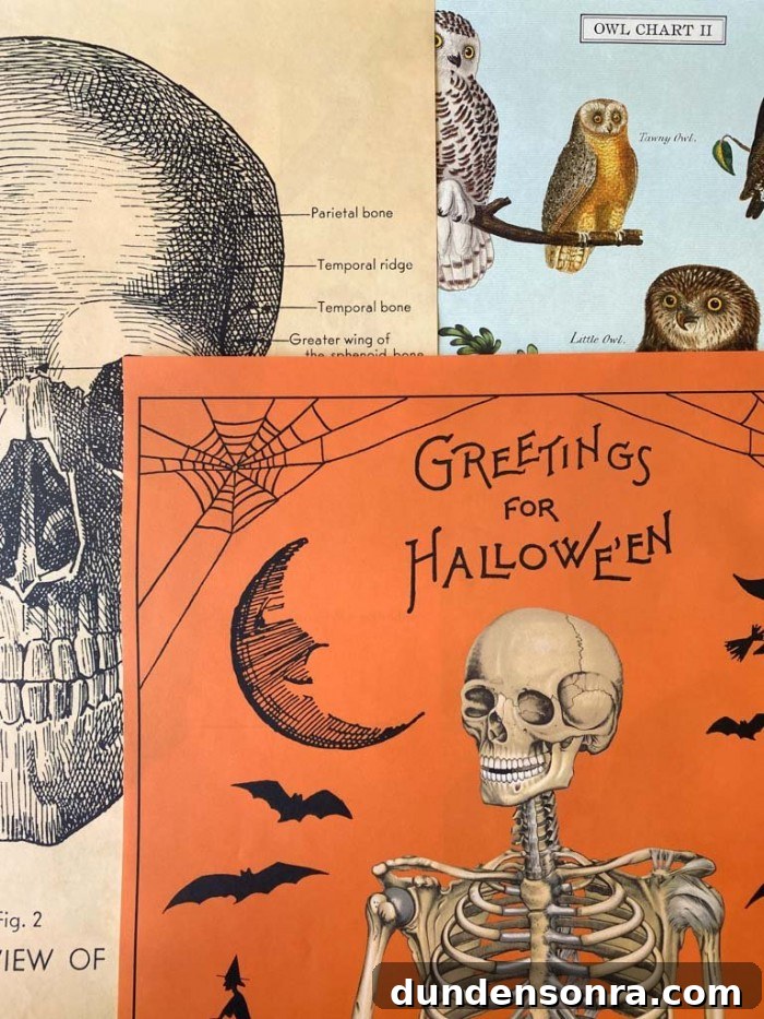 Top Halloween Home Decor Ideas to Transform Your Space 28 Halloween Posters