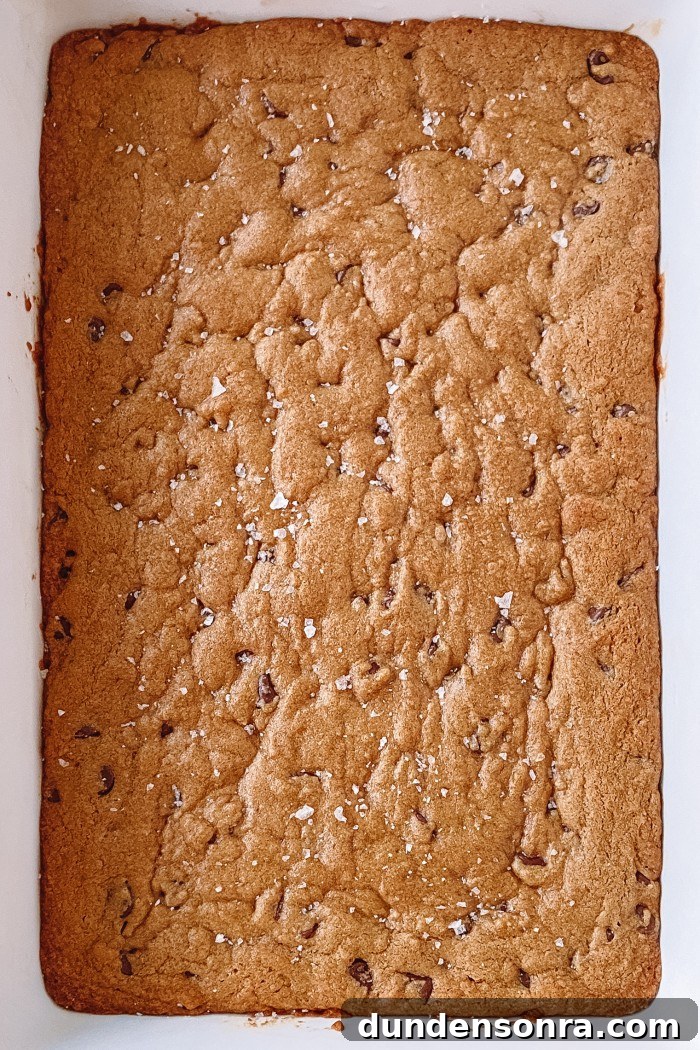 Chewy Chocolate Chip Cookie Bars Recipe for Perfect Snacks 3 chocolate chip bar pan