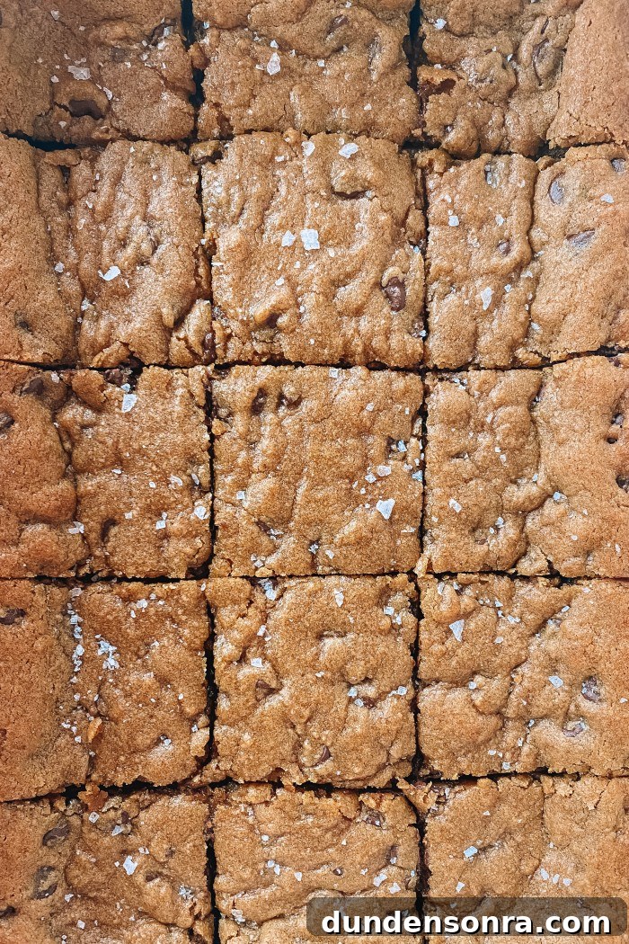 Chewy Chocolate Chip Cookie Bars Recipe for Perfect Snacks 6 chocolate chip bars sliced in pan