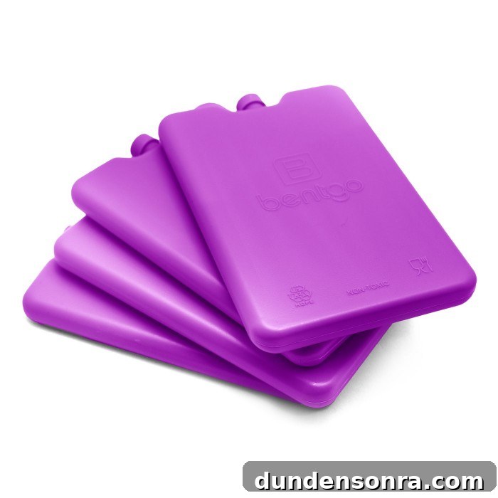 Preschool Lunch and Classroom Essentials: What Every Parent Needs 12 purple thin lunch box ice packs stacked on a white background