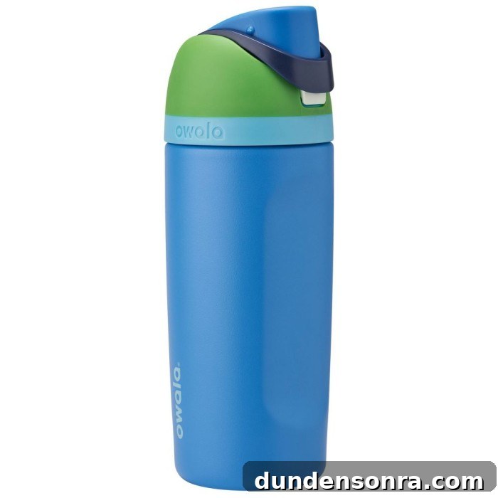 Preschool Lunch and Classroom Essentials: What Every Parent Needs 17 Owala 16oz kids water bottle blue