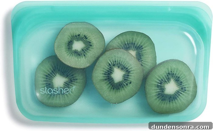 Preschool Lunch and Classroom Essentials: What Every Parent Needs 10 silicone snack bag