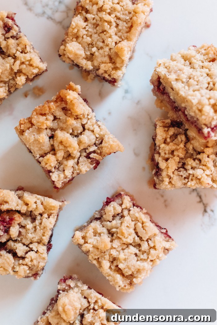 Raspberry Bars on a Marble Counter