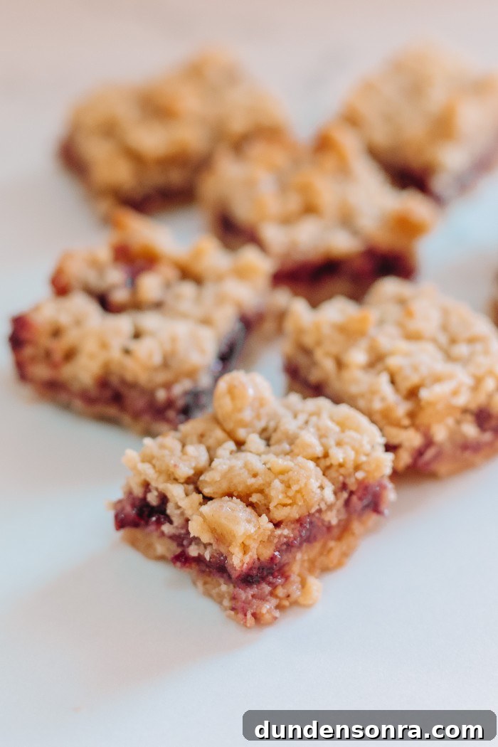Easy Raspberry Bars