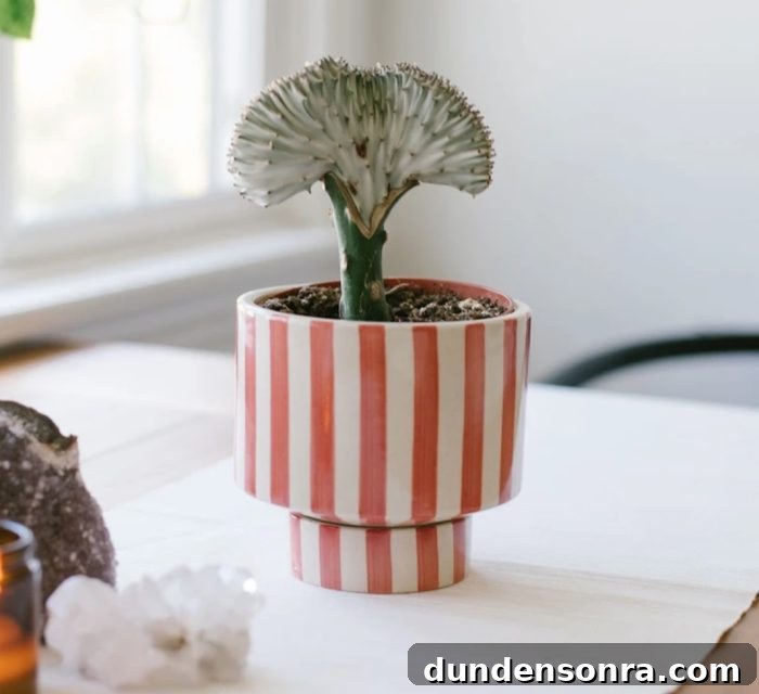 Top Gift Ideas for Homebodies That They'll Actually Use 4 Striped plant "pot." Super unique and perfect for plant lovers!