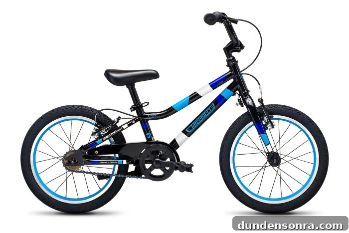 Blue Guardian Kids Bike
