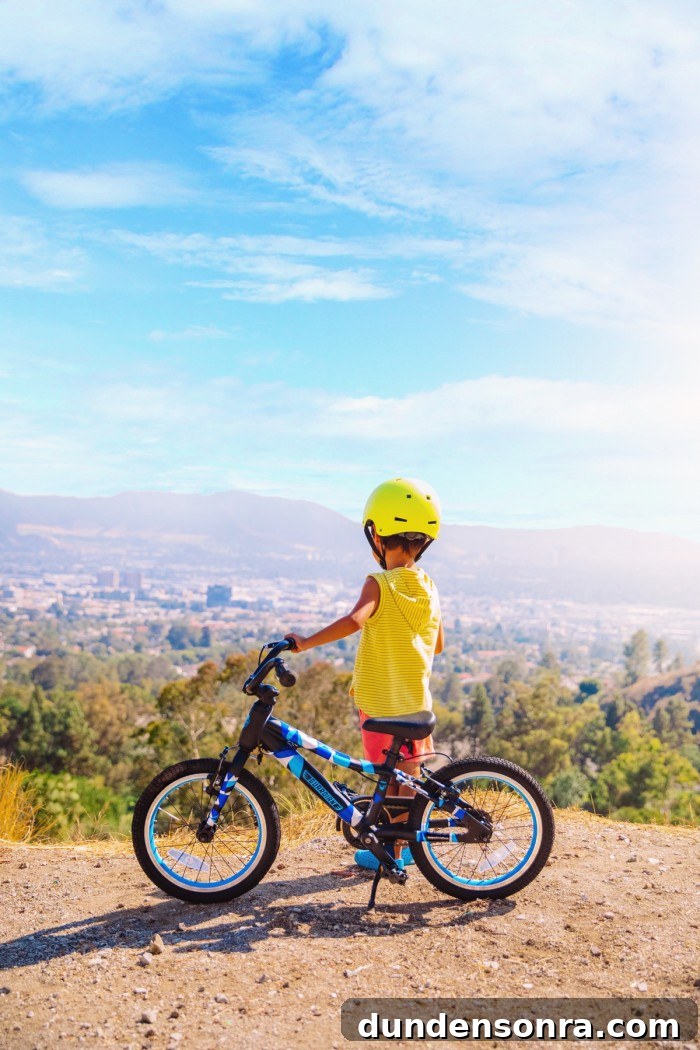 Child with bike looking out on city