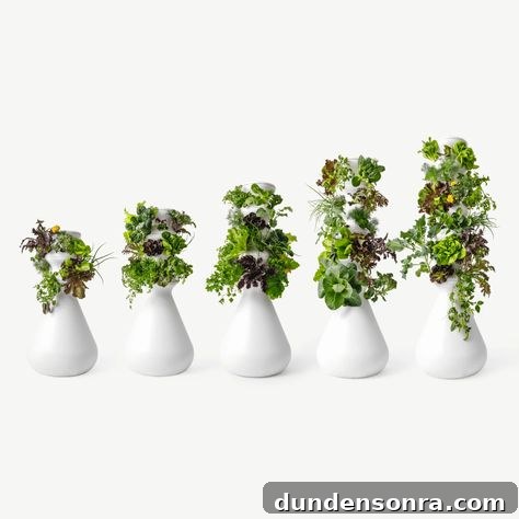 Gift Ideas for Home Chefs and Bakers 5 Farmstand with lettuce growing