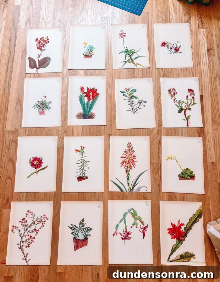 Rock Plant Illustrations in grid on floor