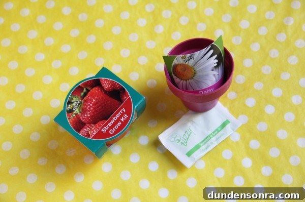 seed-kit-paper-flower-place-cards