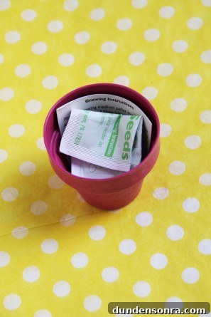 seed-kit-place-cards