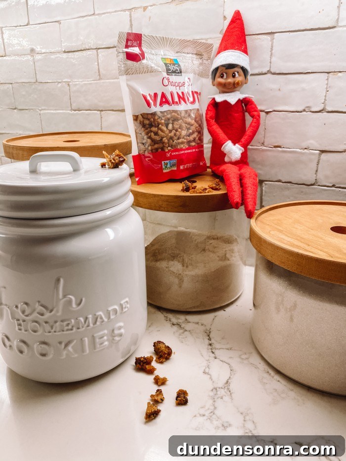 elf sitting on jar with crumbs on face