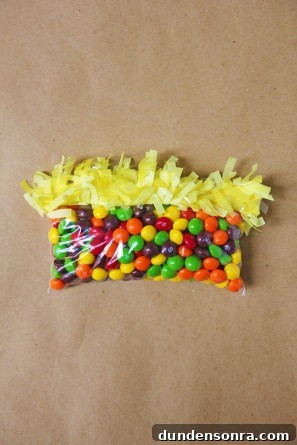 diy-favor-bags-for-kids-parties
