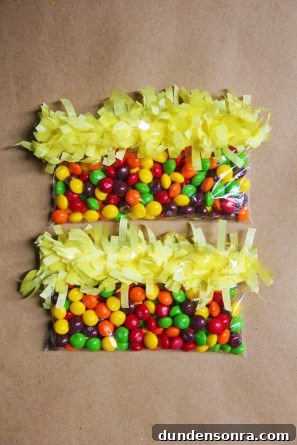 fringe-treat-bag-diy